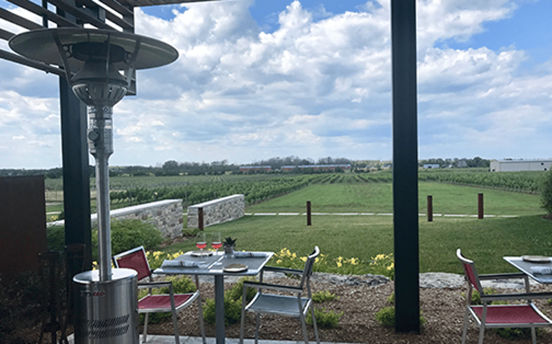 Red Stone Winery preview 2